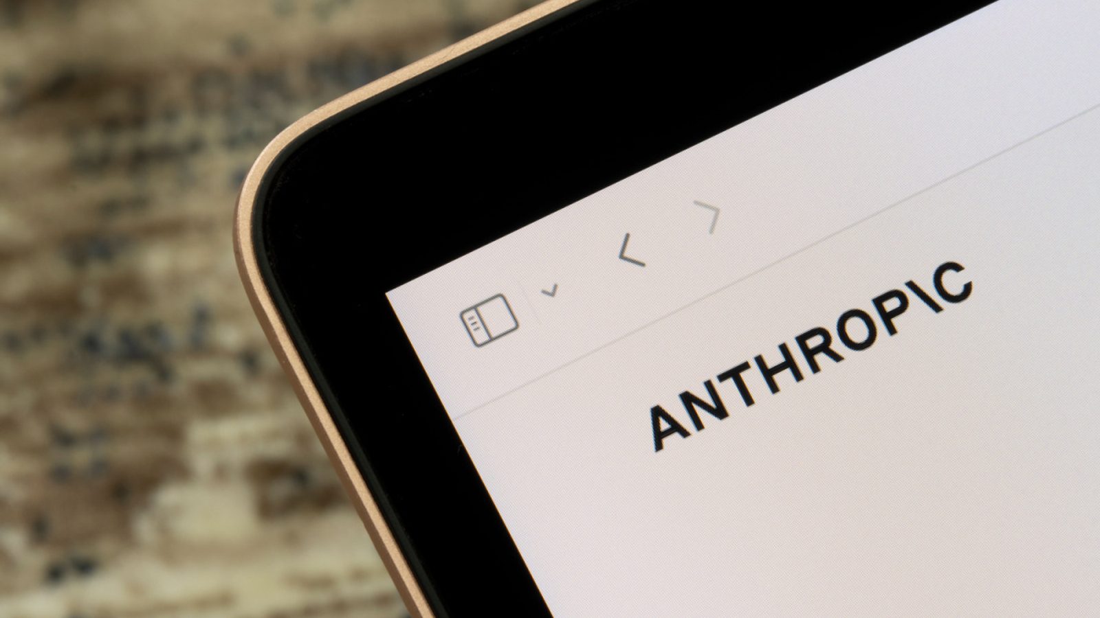 NYC Comptroller asks Anthropic to pause IPO for AI safety focus